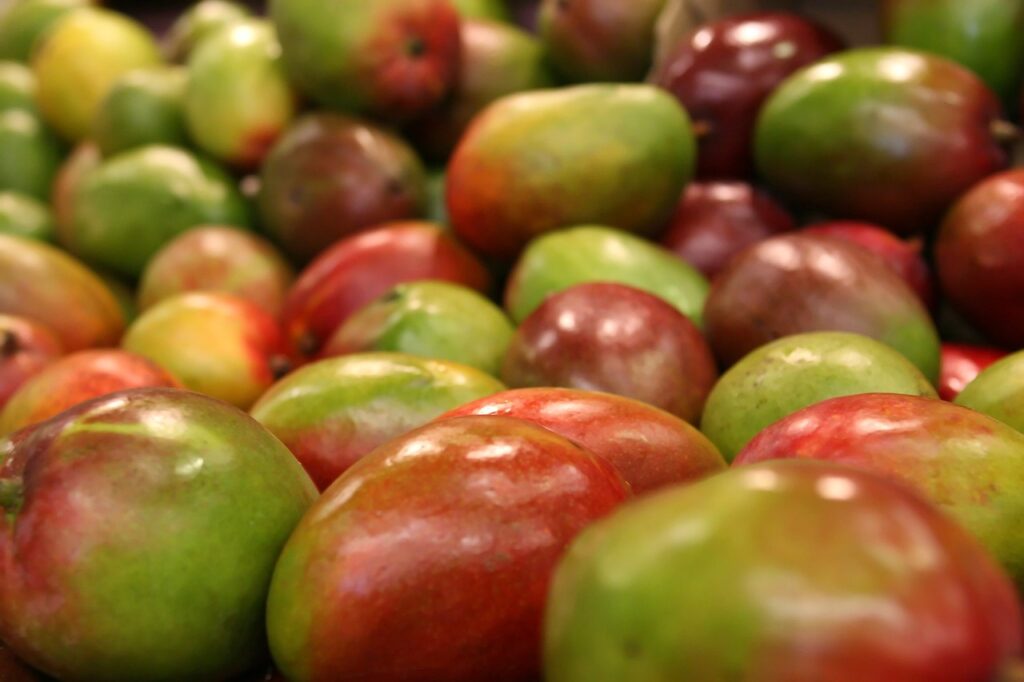 mango, fruit, colorful